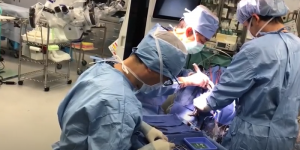 Impresión 3D y cirugía esterilización destornilladores neurocirugía