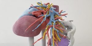 tecnologĂa 3D para la medicina